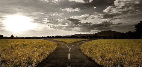 A Fork in the Road for our Response to&nbsp;COVID19